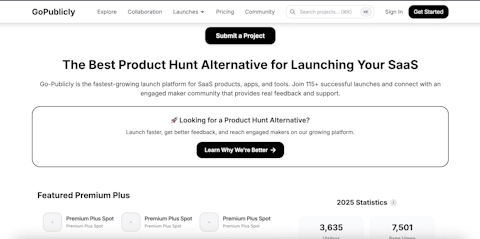 go-publicly.com screenshot